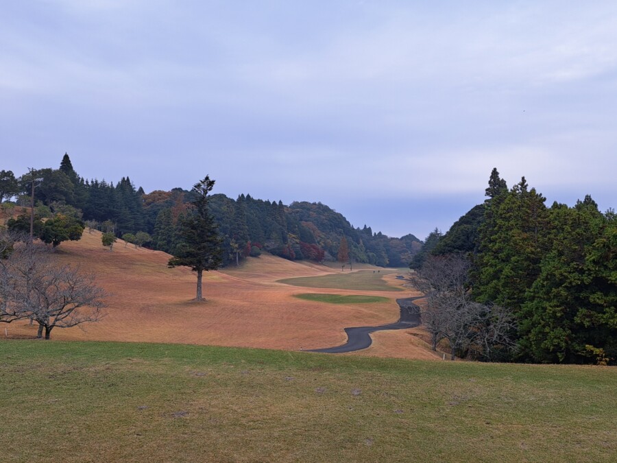 江東区のゴルフレッスンならいもりゴルフSS。ゴルフ場ガイド・ムーンレイクGC鶴舞編
