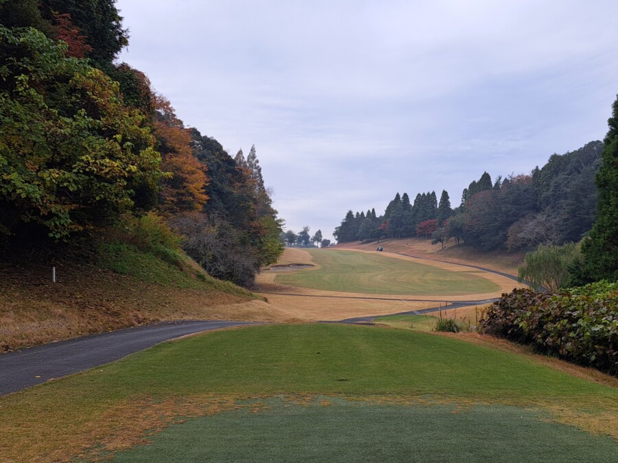 江東区のゴルフレッスンならいもりゴルフSS。ゴルフ場ガイド・ムーンレイクGC鶴舞編
