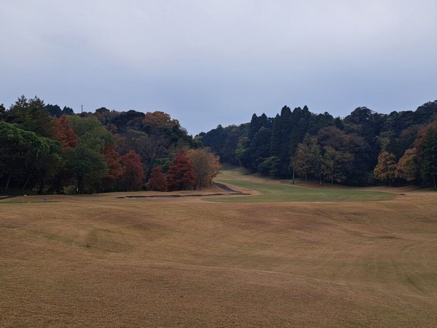 江東区のゴルフレッスンならいもりゴルフSS。ゴルフ場ガイド・ムーンレイクGC鶴舞編