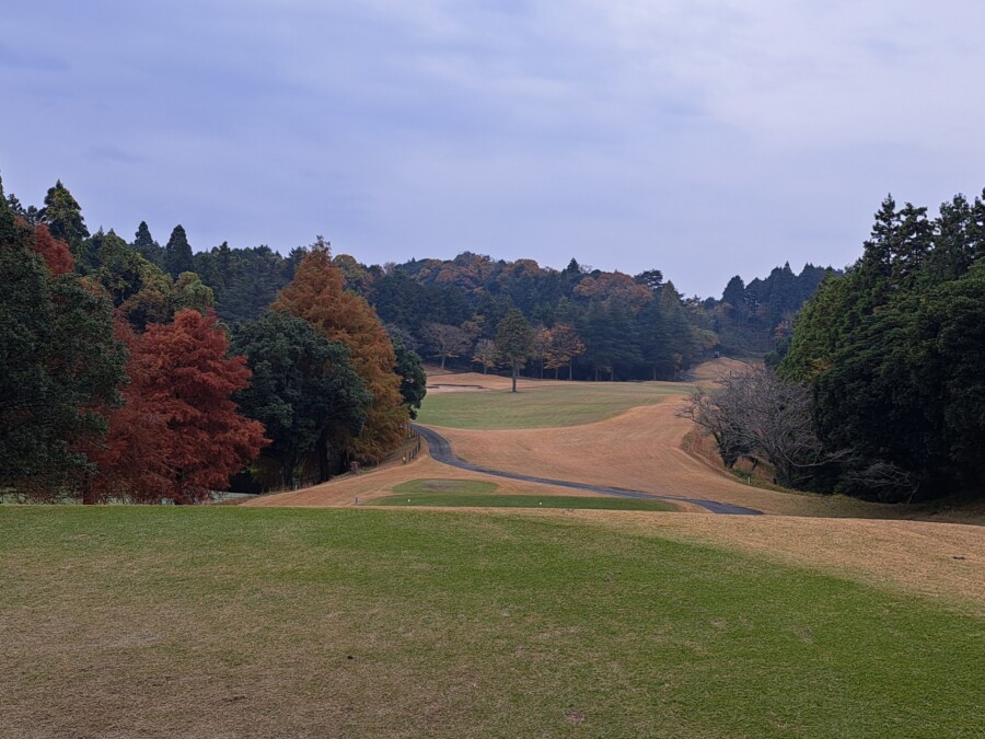 江東区のゴルフレッスンならいもりゴルフSS。ゴルフ場ガイド・ムーンレイクGC鶴舞編