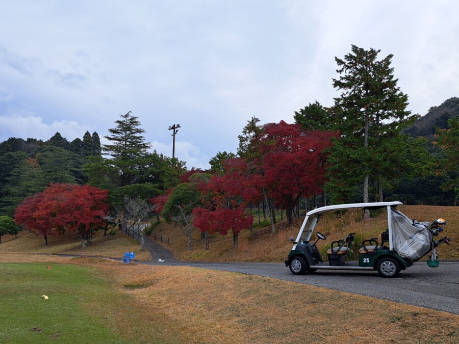 江東区のゴルフレッスンならいもりゴルフSS。ゴルフ場ガイド・ムーンレイクGC鶴舞編
