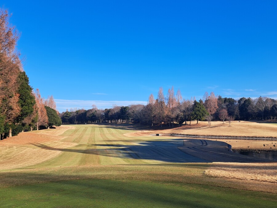 江東区おおじまのゴルフスクール・いもり的ゴルフ場ガイド！豊里GC編！
