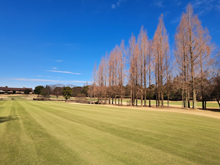 江東区おおじまのゴルフスクール・いもり的ゴルフ場ガイド！豊里GC編！