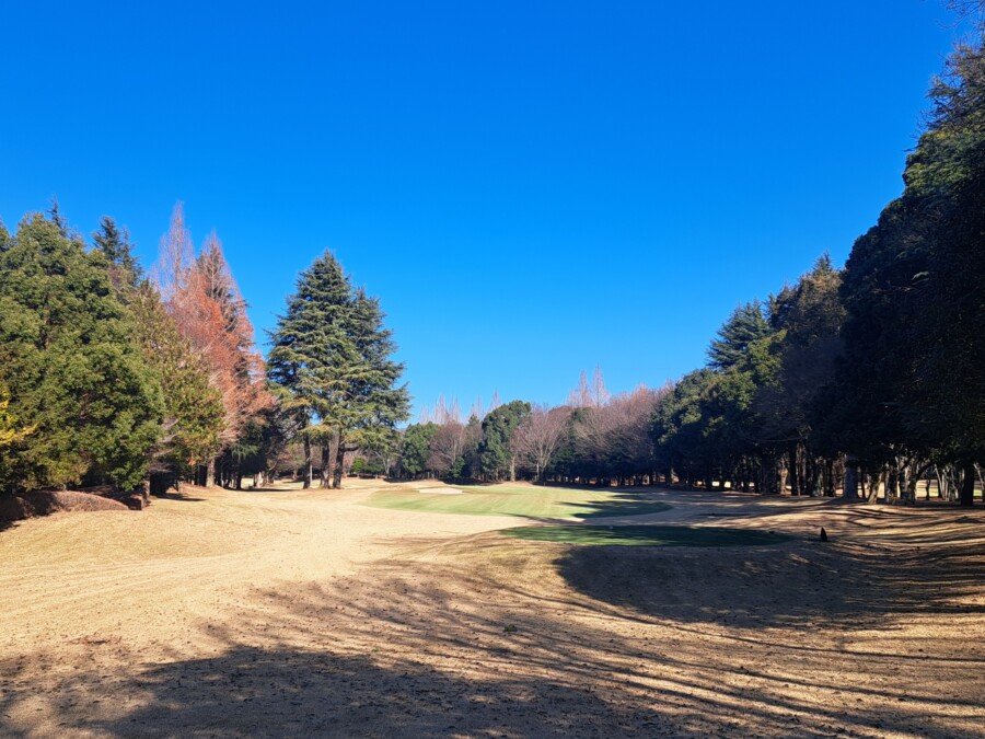 江東区おおじまのゴルフスクール・いもり的ゴルフ場ガイド！豊里GC編！