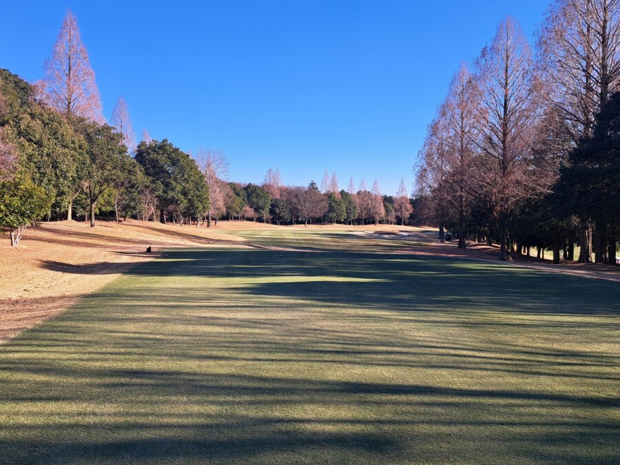 江東区おおじまのゴルフスクール・いもり的ゴルフ場ガイド！豊里GC編！