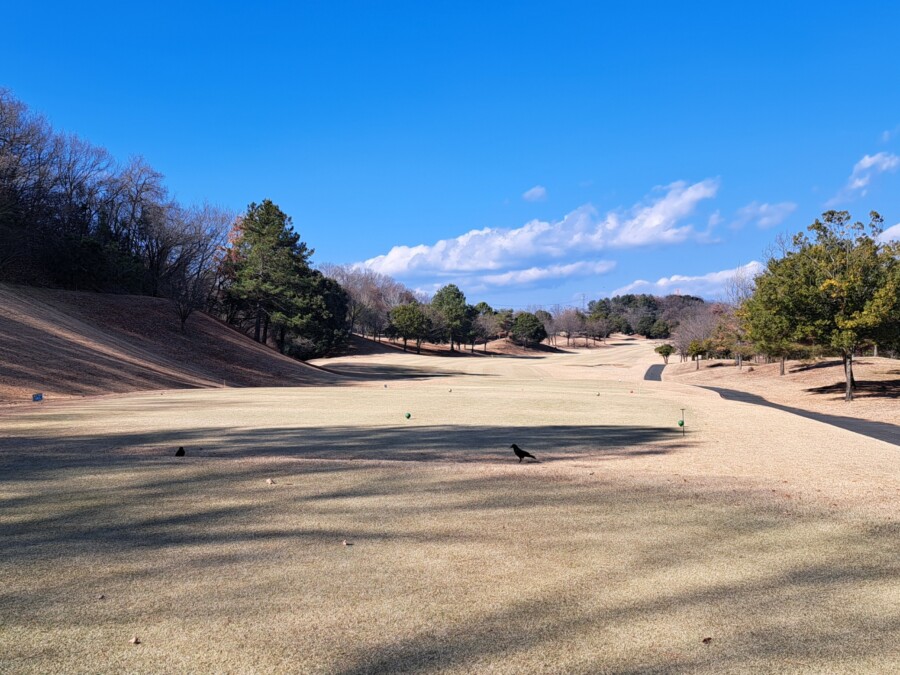 江東区おおじまのゴルフスクール・いもりゴルフSSのゴルフ場ガイド！