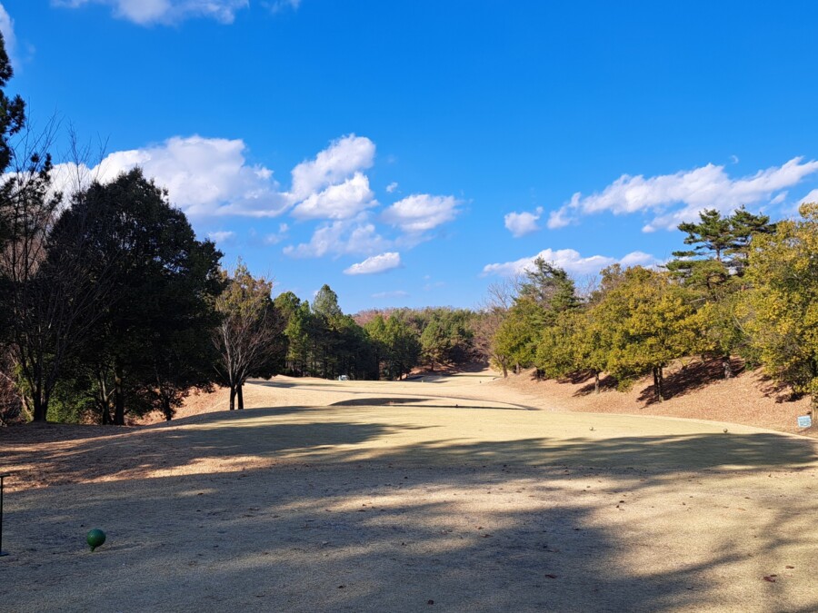 江東区おおじまのゴルフスクール・いもりゴルフSSのゴルフ場ガイド！